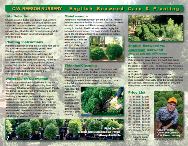 C.W. Reeson Nursery Brochure Design Greg Schaale Design